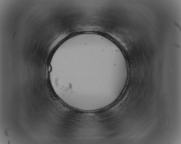 X0000091371317200709071317