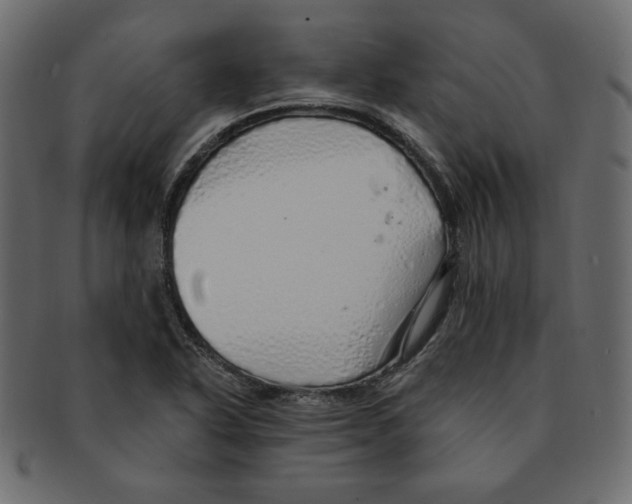 X0000091371318200709071317