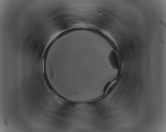 X0000091371323200709071317