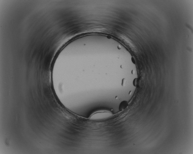 X0000091371324200709071317