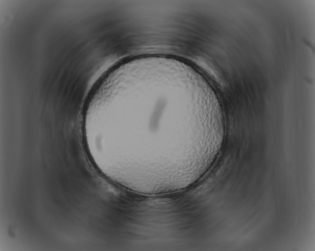 X0000091371325200709071317