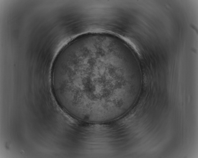 X0000091371327200709071317