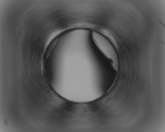 X0000091371328200709071317