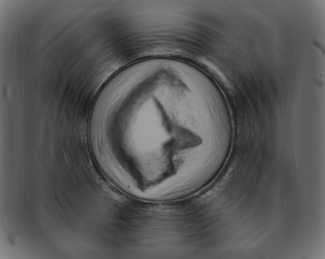 X0000091371329200709071317