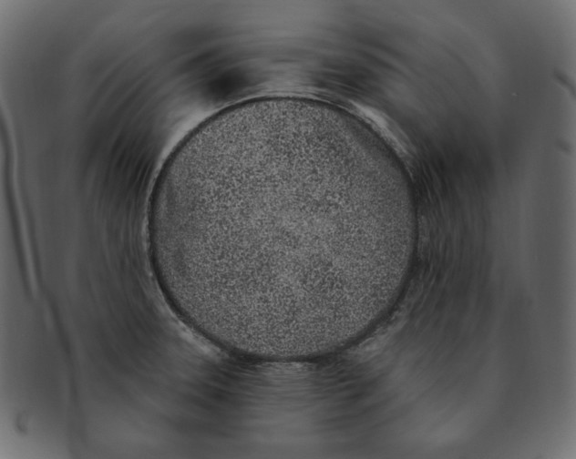 X0000091371331200709071317