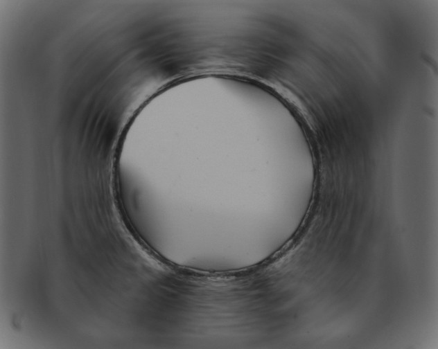 X0000091371333200709071317