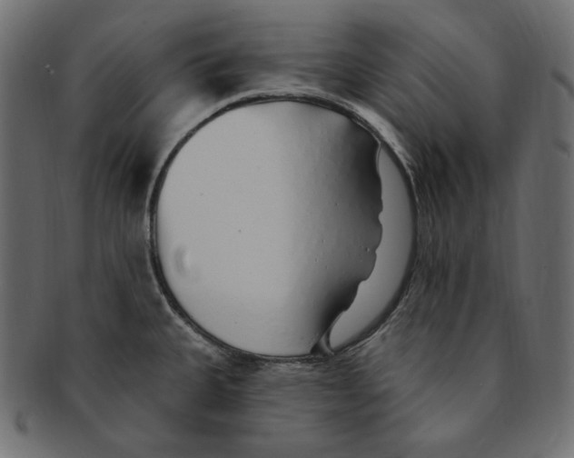 X0000091371335200709071317