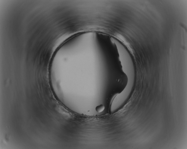 X0000091371336200709071317