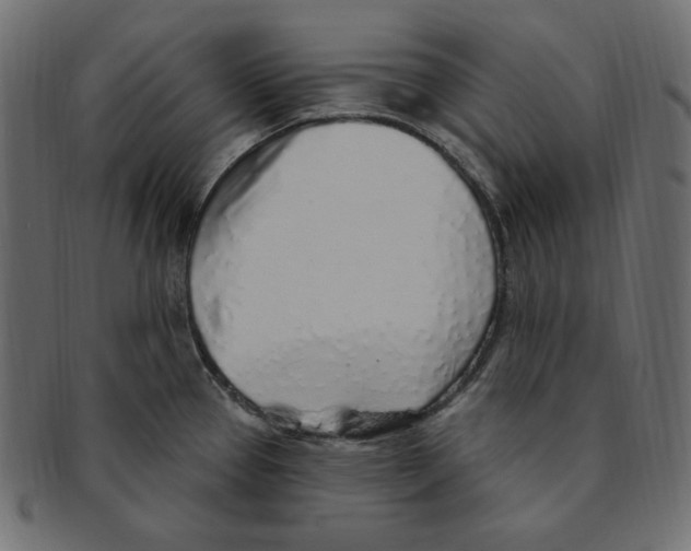 X0000091371337200709071317