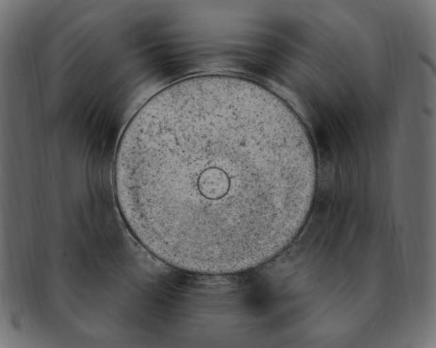 X0000091371338200709071317