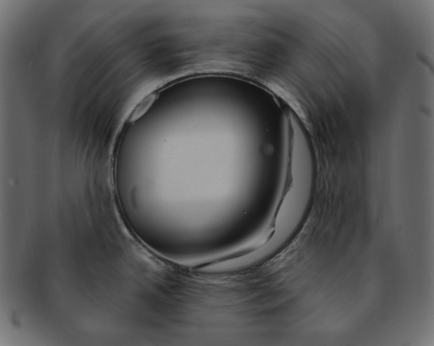 X0000091371342200709071317