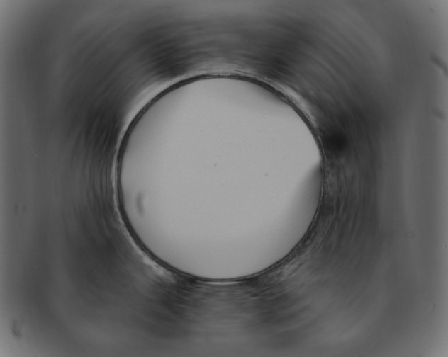 X0000091371343200709071317