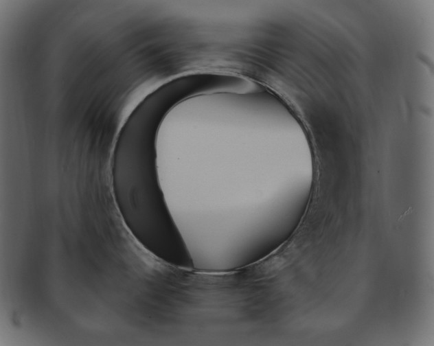 X0000091371344200709071317