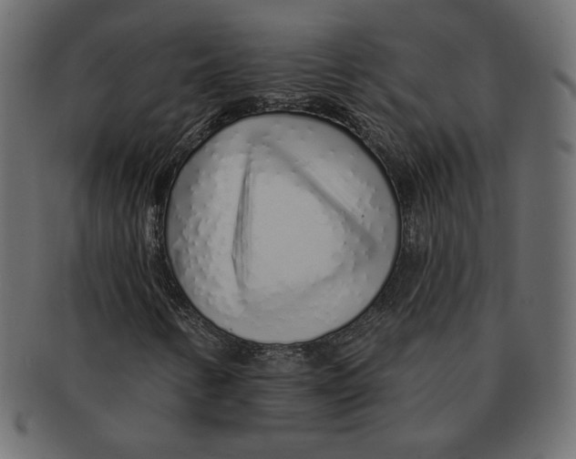 X0000091371346200709071316