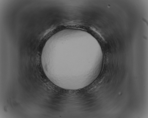 X0000091371350200709071316