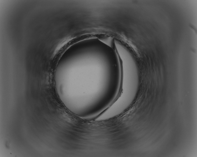 X0000091371352200709071316