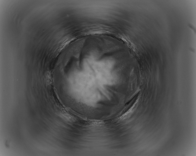 X0000091371353200709071316