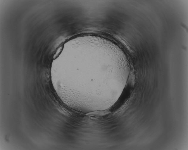 X0000091371355200709071316