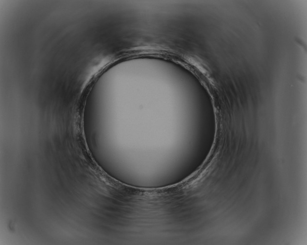 X0000091371357200709071316