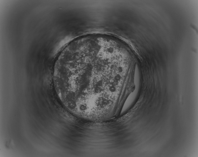 X0000091371359200709071316