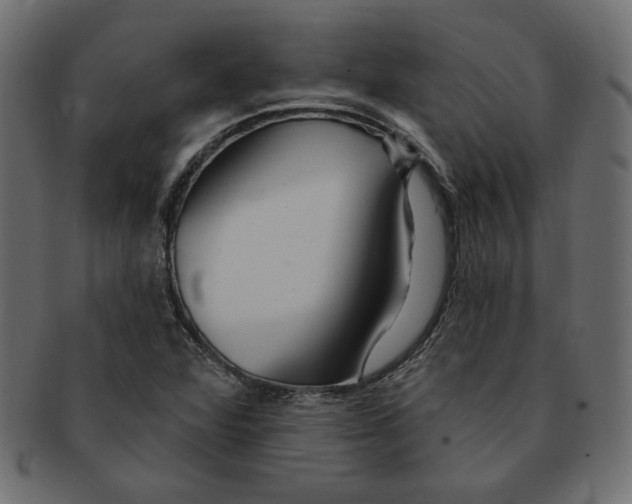 X0000091371360200709071316