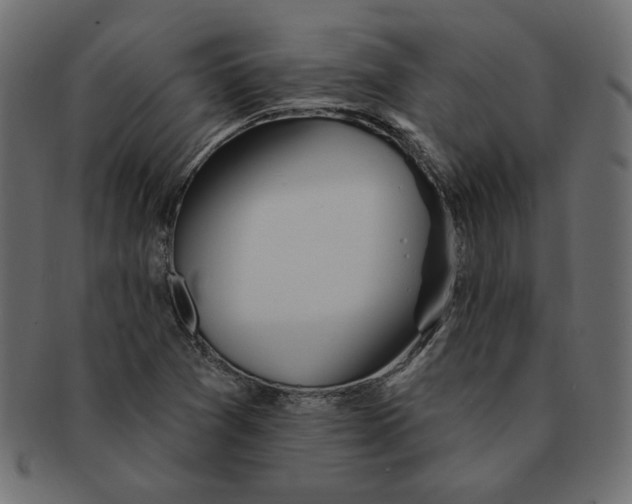 X0000091371361200709071316