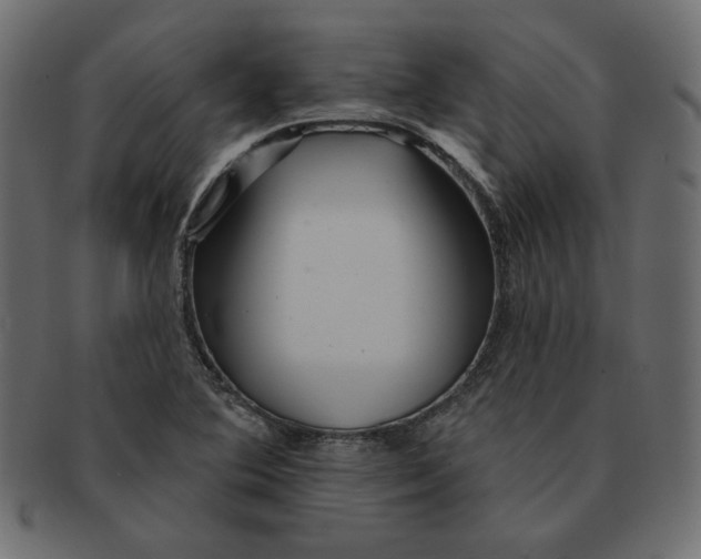 X0000091371364200709071316