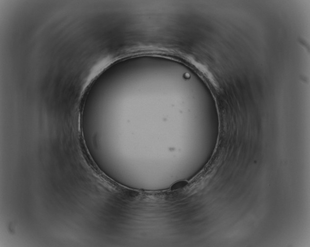 X0000091371365200709071316