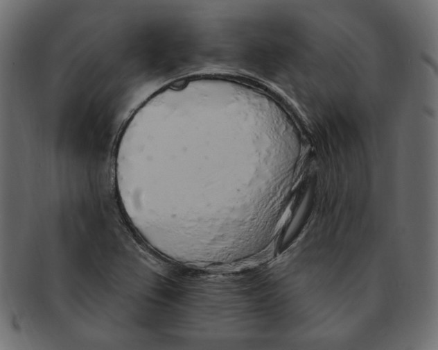 X0000091371367200709071316