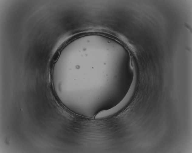 X0000091371368200709071316