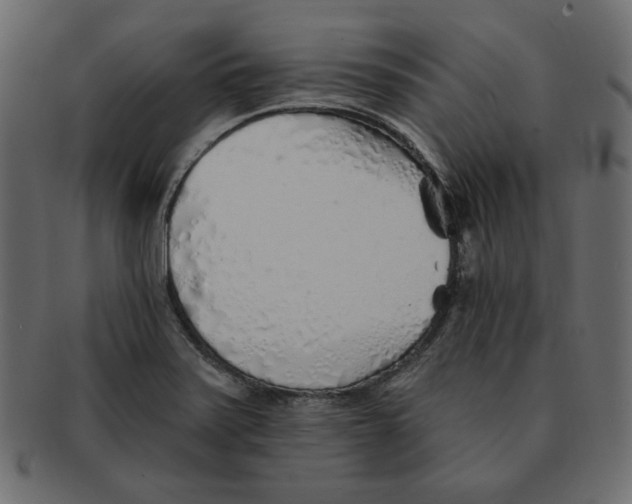 X0000091371371200709071316