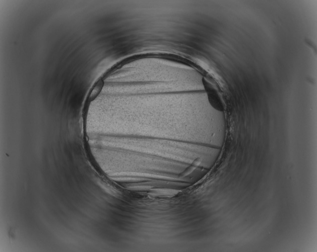 X0000091371372200709071316