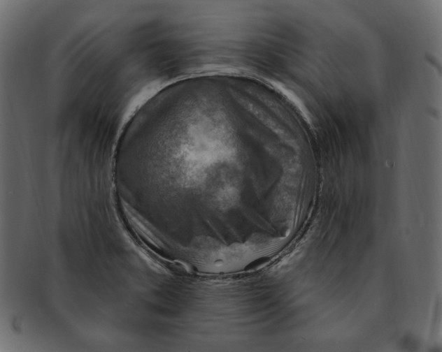 X0000091371373200709071316