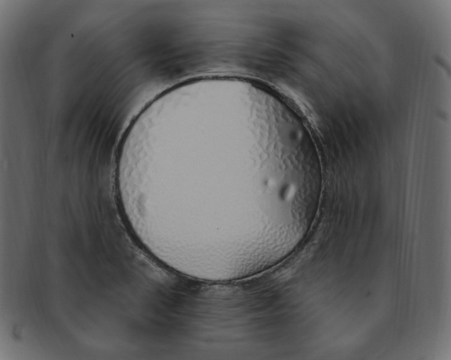 X0000091371374200709071316