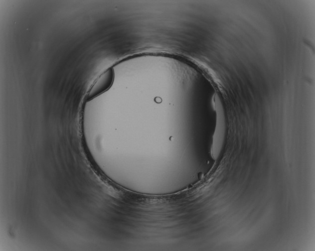 X0000091371375200709071316