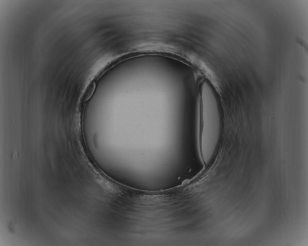 X0000091371376200709071316