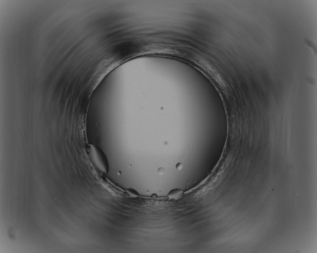 X0000091371377200709071316