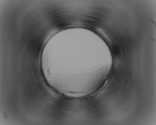 X0000091371378200709071316