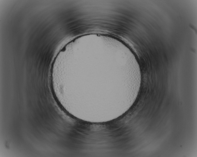 X0000091371379200709071316