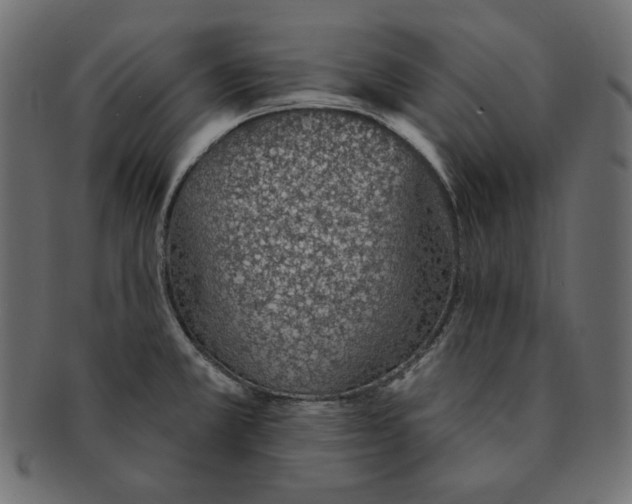 X0000091371381200709071316