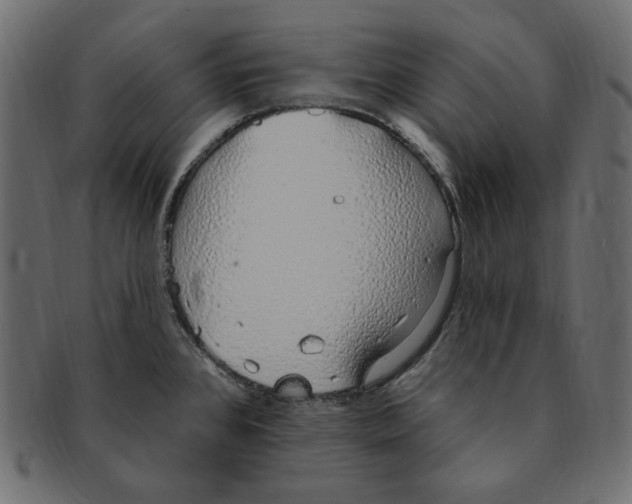 X0000091371384200709071316