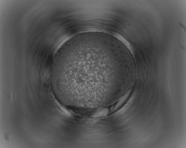 X0000091371385200709071316