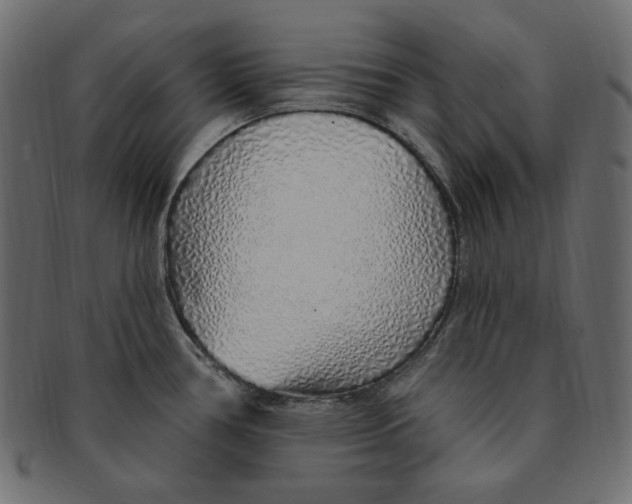 X0000091371386200709071316