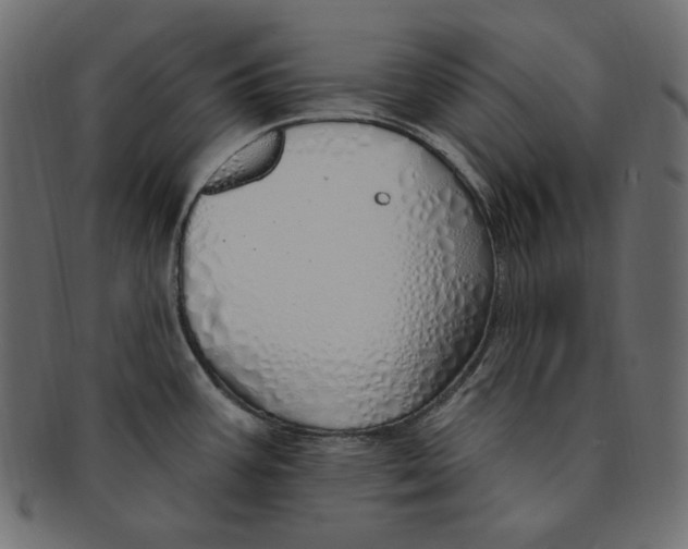 X0000091371387200709071316