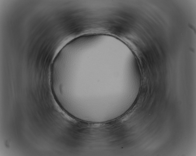 X0000091371390200709071316