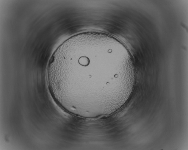 X0000091371391200709071316