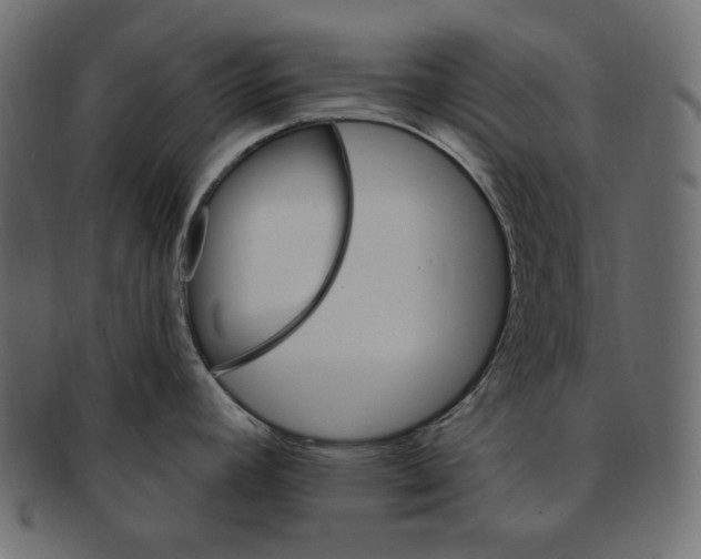 X0000091371392200709071316