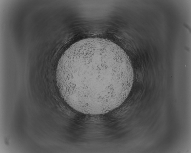 X0000091371393200709071315