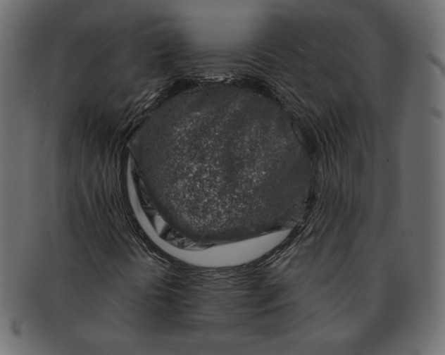 X0000091371394200709071315