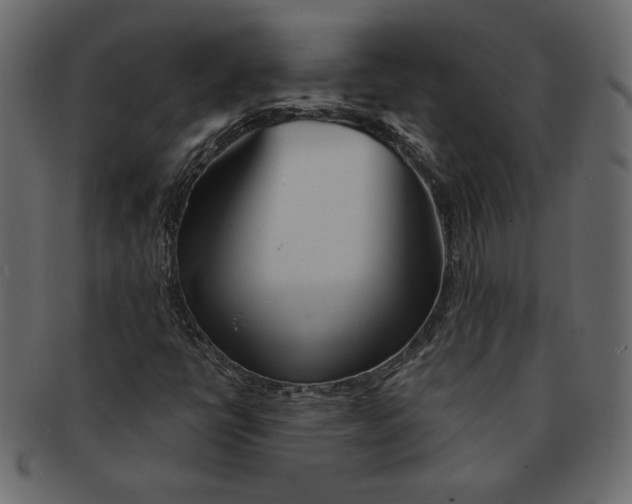 X0000091371398200709071315